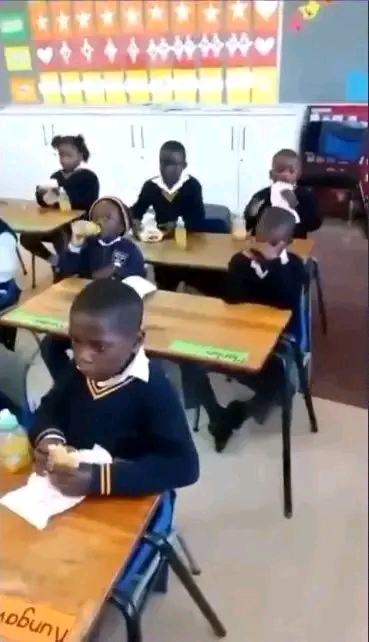 Pie Day Shame: Educator in Hot Water for Taunting Needy Student